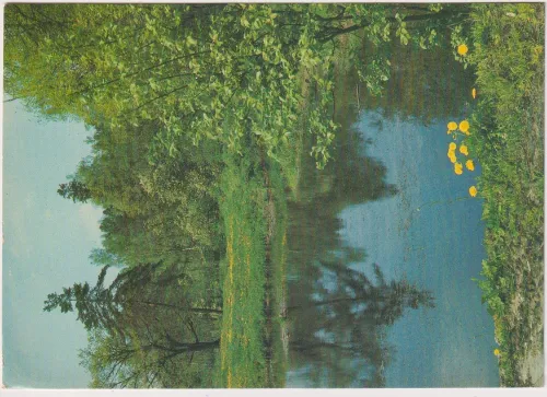 UN1-088-468 SWL QSL kartı